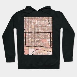 Phoenix Map Pattern in Soft Pink Pastels Hoodie